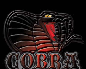 Nome: cobra11.PNG
Visite: 503
Dimensione: 86.8 KB