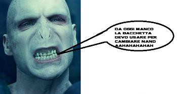 Team Xecuter NandSwitcher per i possessori di Demon TX. NandSwap anche dal divano-lord_voldemort.jpg