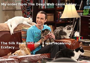 Darknet "ecco la terra di nessuno"-sheldon_cooper_buys_ecstacy_on_the_deep_web_by_drsheldoncooperphd-d4xost2.jpg