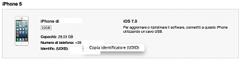 [TUTORIAL] Installare iOS 7 beta 1 o successive sul vostro iPhone/iPad-schermata-2013-06-13-alle-14.31.51.png